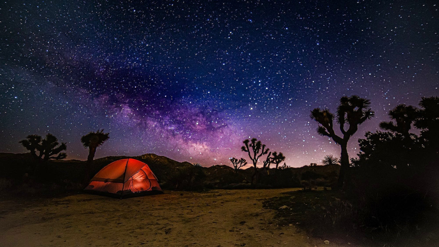 Neoteric Ultimate Package: Zero to Hero! (3-Day Pistol Overnight Trip with 5 Courses)